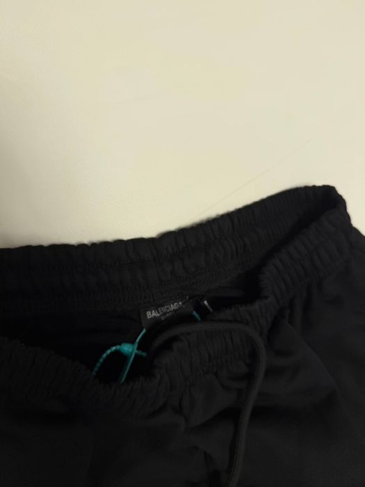 штаны Balenciaga lion 3b sporty pants M L vetements rick owens — фото 6